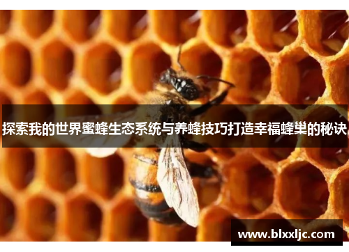探索我的世界蜜蜂生态系统与养蜂技巧打造幸福蜂巢的秘诀 探索我的世界蜜蜂生态系统与养蜂技巧打造幸福蜂巢的秘诀